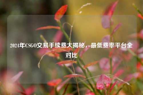 2024年CSGO交易手续费大揭秘,最低费率平台全对比