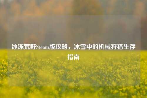 冰冻荒野Steam版攻略,冰雪中的机械狩猎生存指南