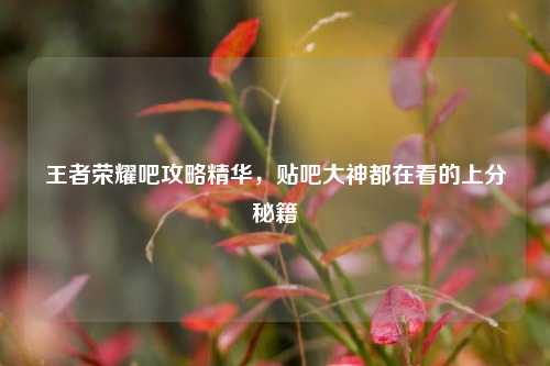 王者荣耀吧攻略精华，贴吧大神都在看的上分秘籍