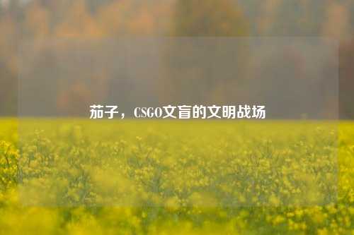 茄子，CSGO文盲的文明战场