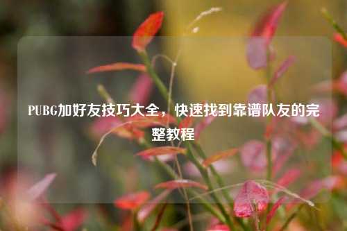 PUBG加好友技巧大全，快速找到靠谱队友的完整教程