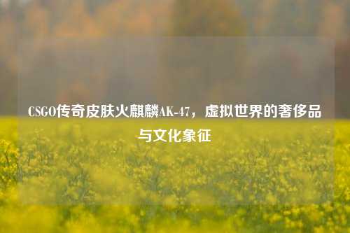 CSGO传奇皮肤火麒麟AK-47，虚拟世界的奢侈品与文化象征