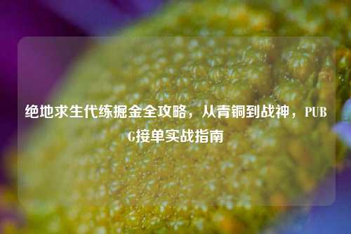绝地求生代练掘金全攻略,从青铜到战神,PUBG接单实战指南