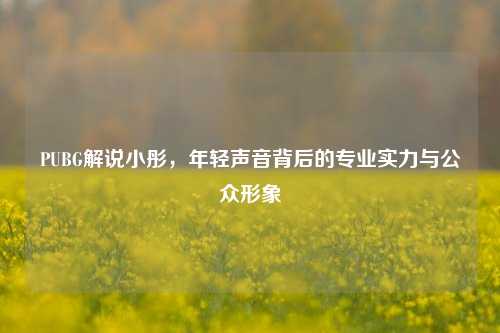 PUBG解说小彤,年轻声音背后的专业实力与公众形象