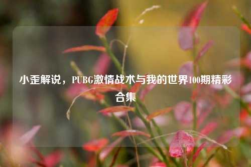 小歪解说，PUBG激情战术与我的世界100期精彩合集