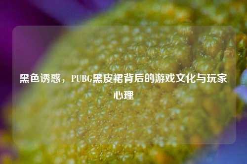 黑色诱惑，PUBG黑皮裙背后的游戏文化与玩家心理