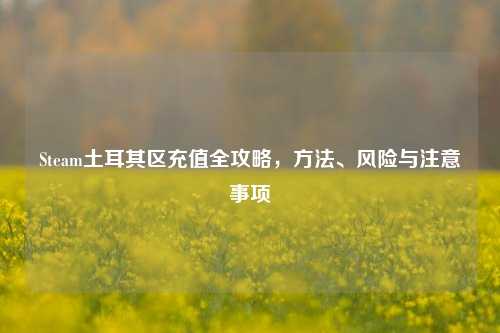 Steam土耳其区充值全攻略，方法、风险与注意事项