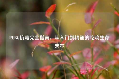 PUBG抗毒完全指南,从入门到精通的吃鸡生存艺术