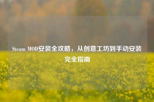 Steam MOD安装全攻略,从创意工坊到手动安装完全指南