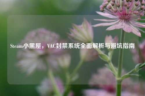 Steam小黑屋，VAC封禁系统全面解析与避坑指南