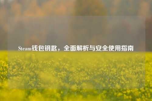 Steam钱包钥匙，全面解析与安全使用指南