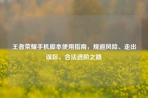 王者荣耀手机脚本使用指南，规避风险、走出误区、合法进阶之路