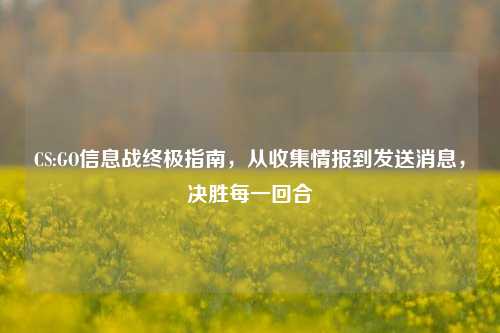 CS:GO信息战终极指南，从收集情报到发送消息，决胜每一回合