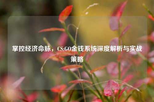 掌控经济命脉，CS:GO金钱系统深度解析与实战策略