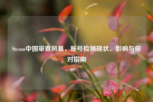 Steam中国审查风暴,账号检测现状、影响与应对指南