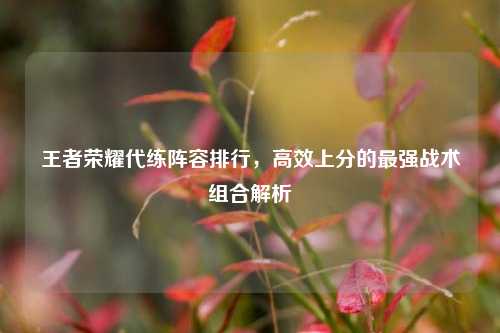 王者荣耀代练阵容排行,高效上分的最强战术组合解析