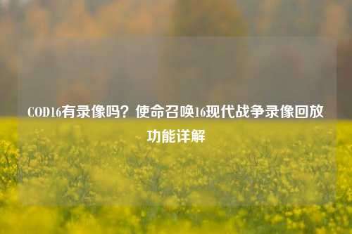 COD16有录像吗？使命召唤16现代战争录像回放功能详解