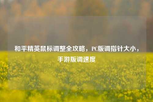 和平精英鼠标调整全攻略,PC版调指针大小,手游版调速度