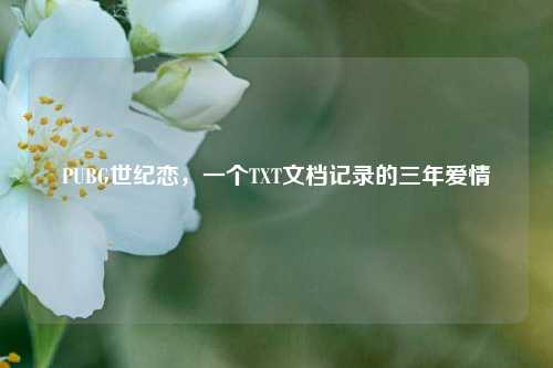 PUBG世纪恋,一个TXT文档记录的三年爱情