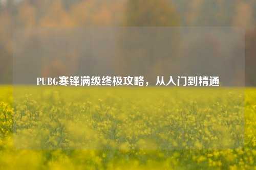 PUBG寒锋满级终极攻略,从入门到精通