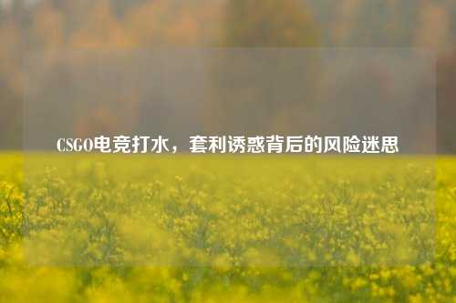 CSGO电竞打水,套利诱惑背后的风险迷思