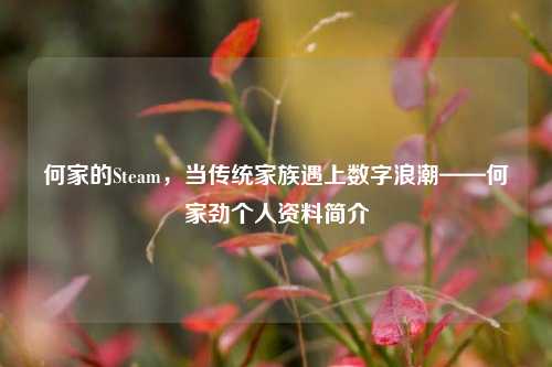 何家的Steam,当传统家族遇上数字浪潮——何家劲个人资料简介