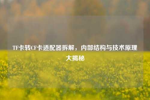 TF卡转CF卡适配器拆解,内部结构与技术原理大揭秘