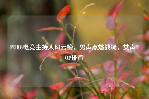 PUBG电竞主持人风云榜，男声点燃战场，女声TOP排行