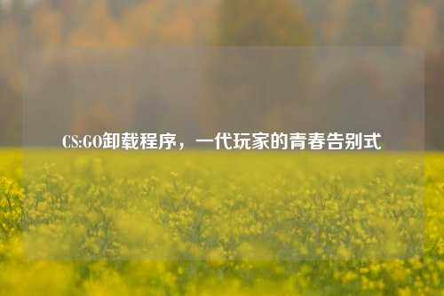 CS:GO卸载程序,一代玩家的青春告别式