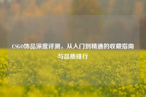 CSGO饰品深度评测，从入门到精通的收藏指南与品质排行