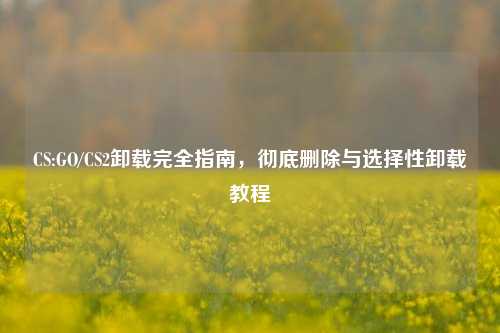 CS:GO/CS2卸载完全指南,彻底删除与选择性卸载教程