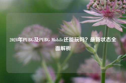 2024年PUBG及PUBG Mobile还能玩吗？最新状态全面解析