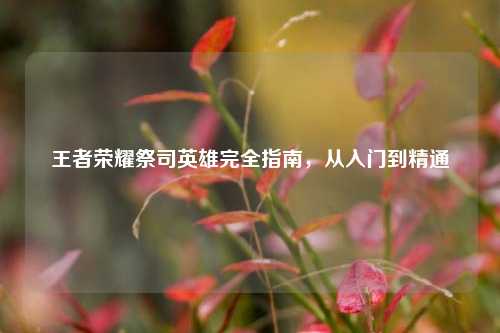 王者荣耀祭司英雄完全指南,从入门到精通
