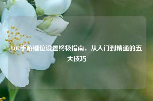 LOL手游键位设置终极指南，从入门到精通的五大技巧