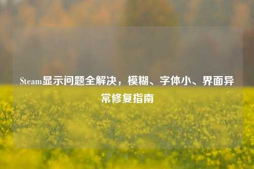 Steam显示问题全解决,模糊、字体小、界面异常修复指南