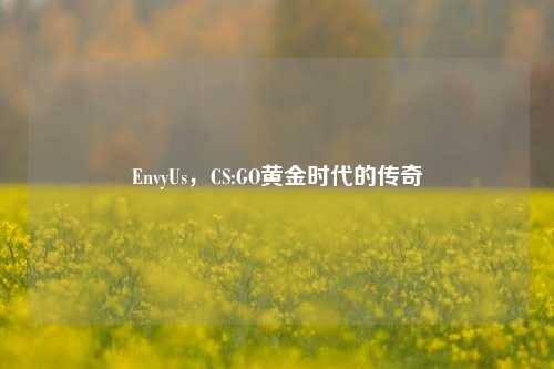 EnvyUs，CS:GO黄金时代的传奇