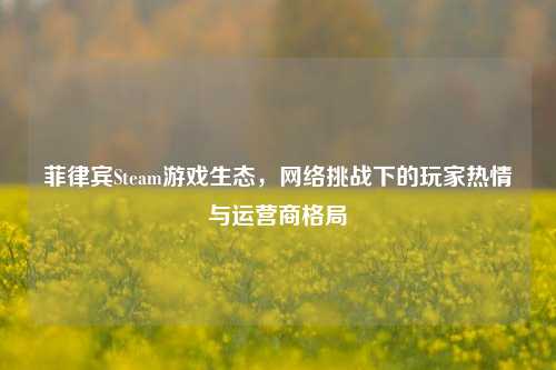 菲律宾Steam游戏生态,网络挑战下的玩家热情与运营商格局