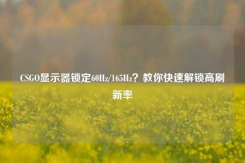 CSGO显示器锁定60Hz/165Hz？教你快速解锁高刷新率