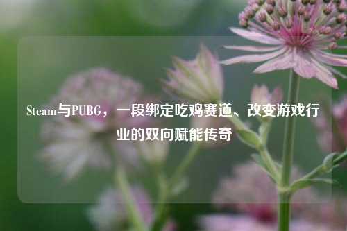Steam与PUBG，一段绑定吃鸡赛道、改变游戏行业的双向赋能传奇
