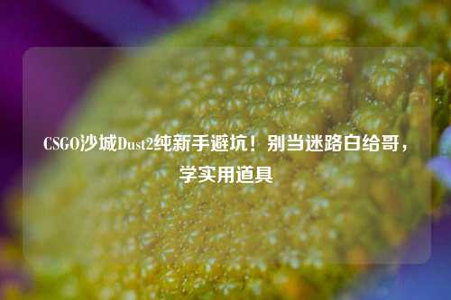 CSGO沙城Dust2纯新手避坑！别当迷路白给哥，学实用道具