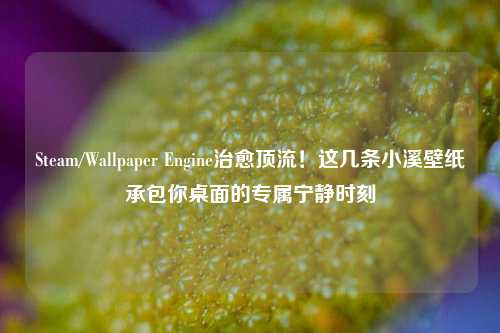 Steam/Wallpaper Engine治愈顶流！这几条小溪壁纸承包你桌面的专属宁静时刻