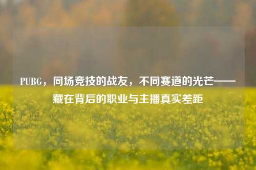 PUBG，同场竞技的战友，不同赛道的光芒——藏在背后的职业与主播真实差距