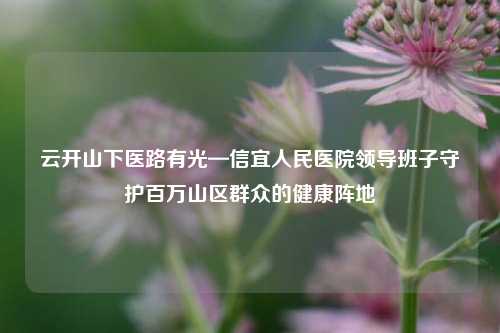 云开山下医路有光—信宜人民医院领导班子守护百万山区群众的健康阵地