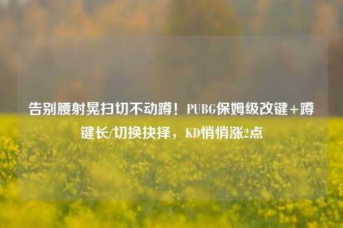 告别腰射晃扫切不动蹲!PUBG保姆级改键+蹲键长/切换抉择,KD悄悄涨2点