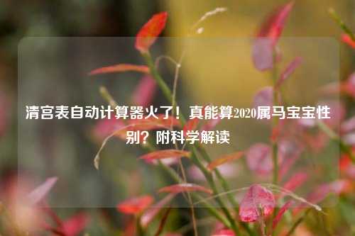 清宫表自动计算器火了!真能算2020属马宝宝性别?附科学解读
