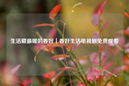 生活藏最暖的姜好|姜好生活电视剧免费观看