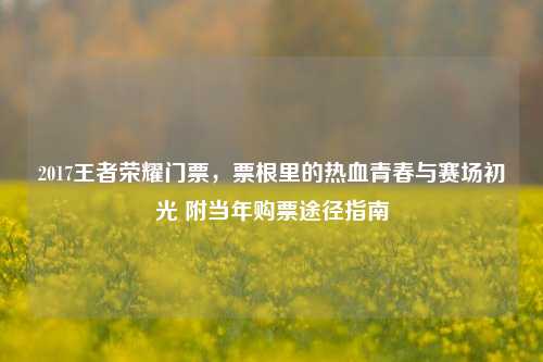 2017王者荣耀门票,票根里的热血青春与赛场初光 附当年购票途径指南