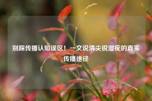 别踩传播认知误区！一文说清尖锐湿疣的真实传播途径