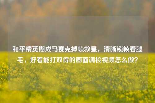 和平精英糊成马赛克掉帧救星,清晰锁帧看腿毛,好看能打双得的画面调校视频怎么做?