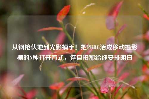 从钢枪伏地到光影捕手！把PUBG活成移动摄影棚的N种打开方式，连自拍都给你安排明白